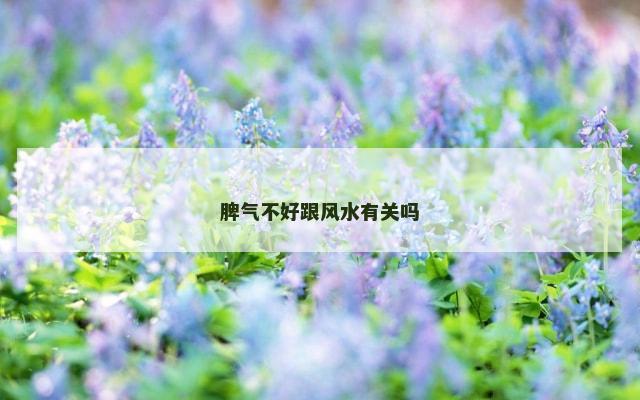 脾气不好跟风水有关吗