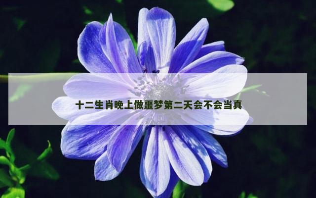 十二生肖晚上做噩梦第二天会不会当真