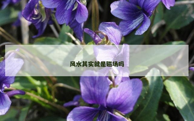 风水其实就是磁场吗