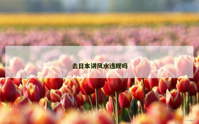 去日本讲风水违规吗
