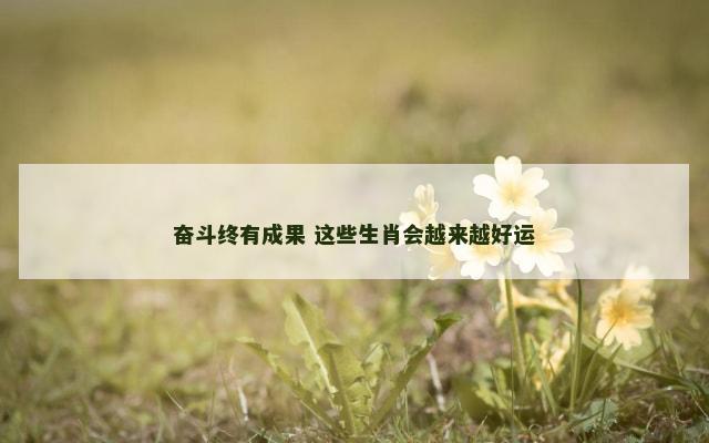 奋斗终有成果 这些生肖会越来越好运