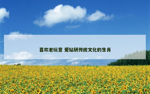 喜欢老玩意 爱钻研传统文化的生肖
