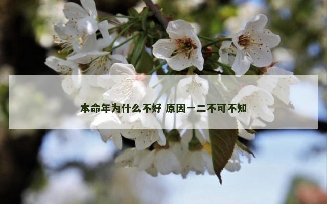 本命年为什么不好 原因一二不可不知