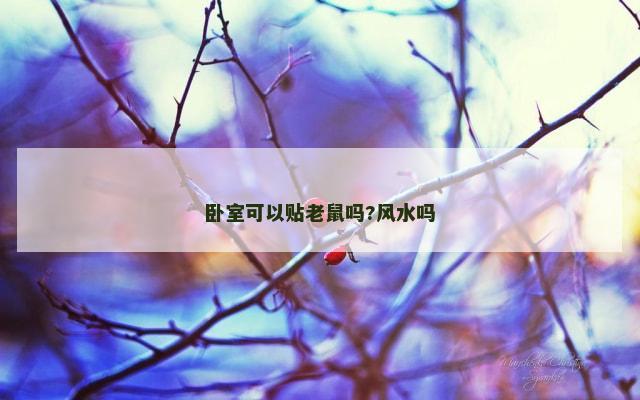 卧室可以贴老鼠吗?风水吗