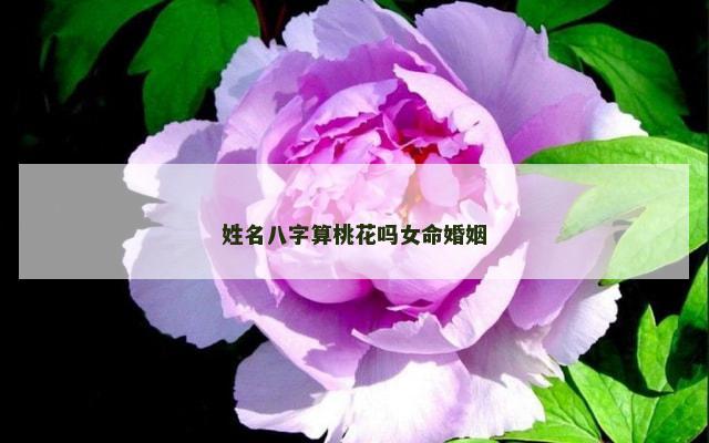 姓名八字算桃花吗女命婚姻