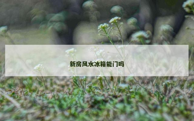 新房风水冰箱能门吗