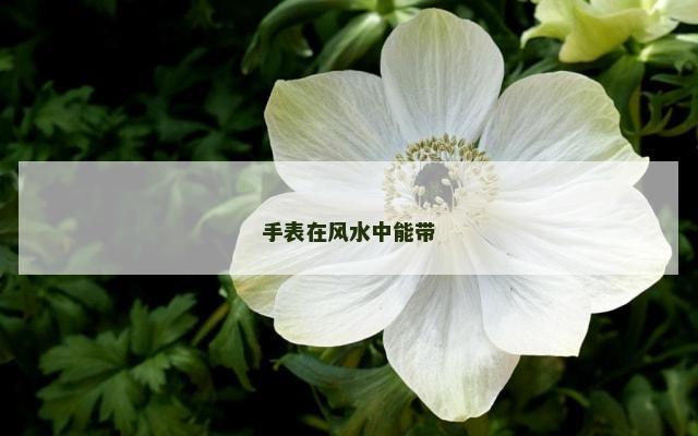 手表在风水中能带