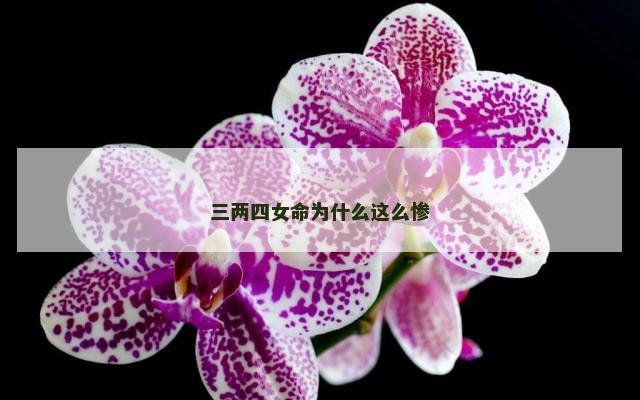 三两四女命为什么这么惨
