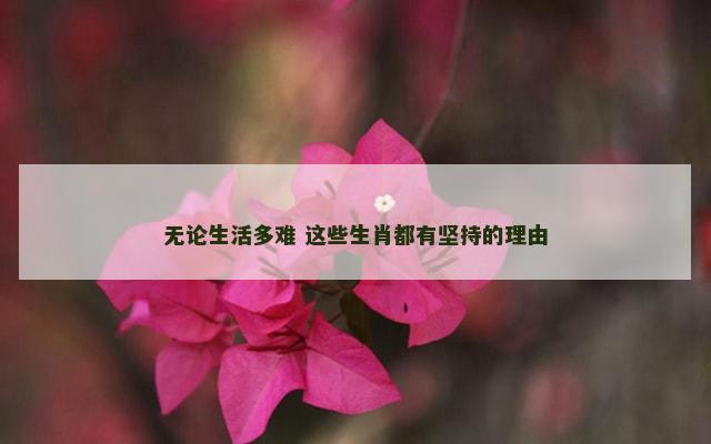 无论生活多难 这些生肖都有坚持的理由