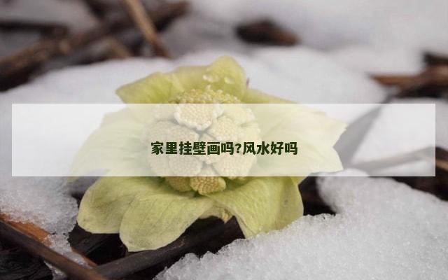 家里挂壁画吗?风水好吗