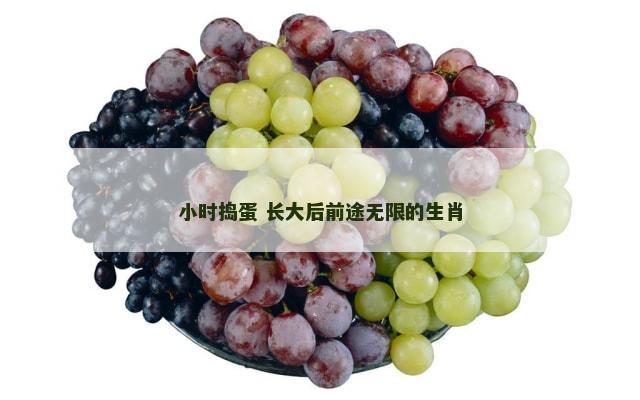 小时捣蛋 长大后前途无限的生肖