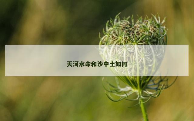 天河水命和沙中土如何