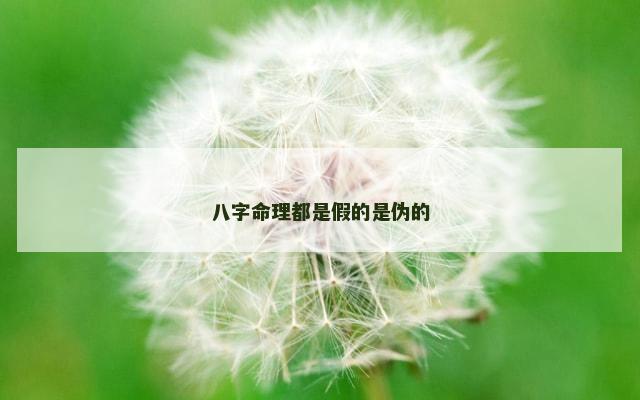 八字命理都是假的是伪的