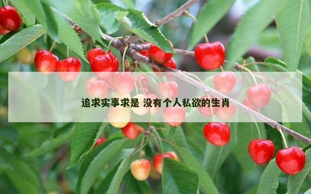 追求实事求是 没有个人私欲的生肖
