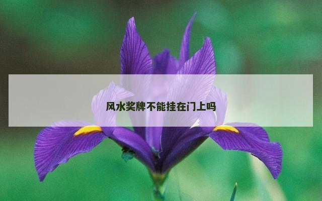 风水奖牌不能挂在门上吗