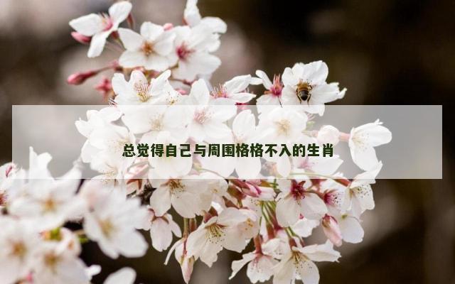 总觉得自己与周围格格不入的生肖