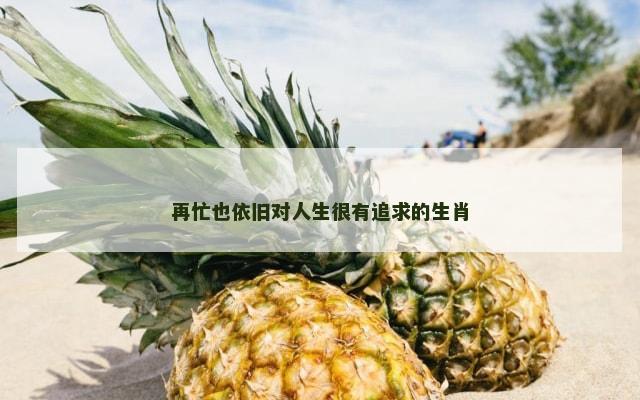 再忙也依旧对人生很有追求的生肖