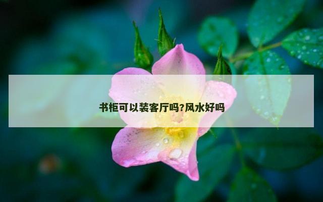 书柜可以装客厅吗?风水好吗