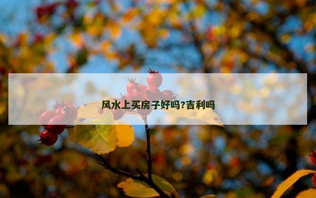 风水上买房子好吗?吉利吗