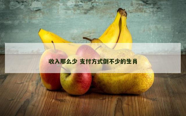 收入那么少 支付方式倒不少的生肖