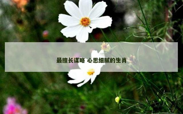 最擅长谋略 心思细腻的生肖