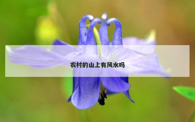 农村的山上有风水吗