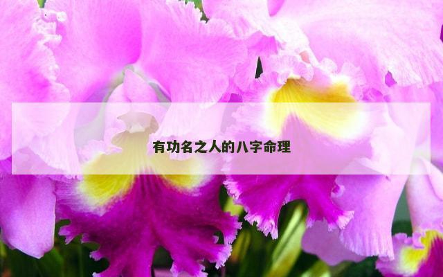 有功名之人的八字命理