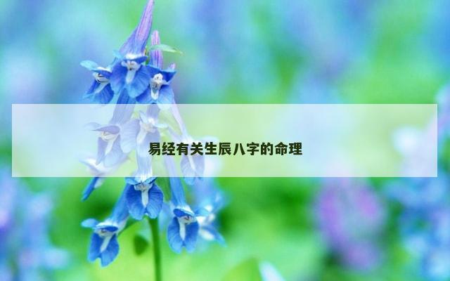易经有关生辰八字的命理