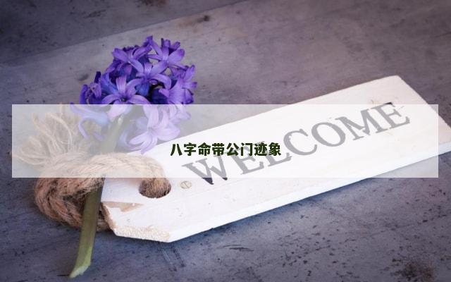 八字命带公门迹象