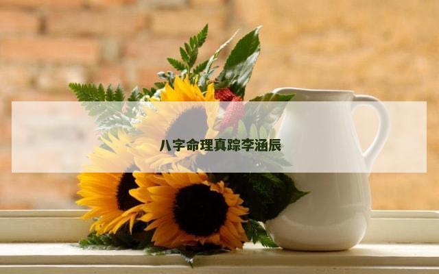 八字命理真踪李涵辰