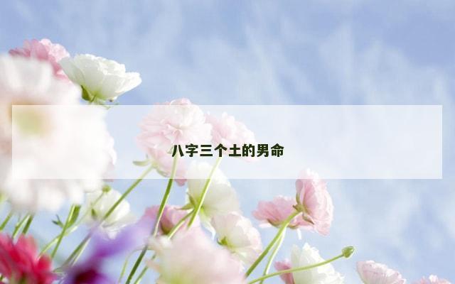 八字三个土的男命
