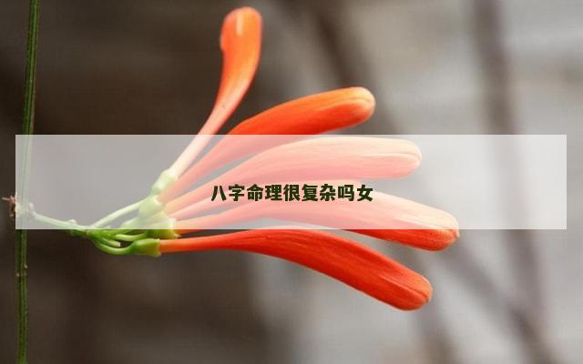 八字命理很复杂吗女