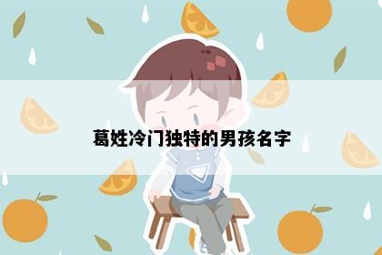 葛姓冷门独特的男孩名字