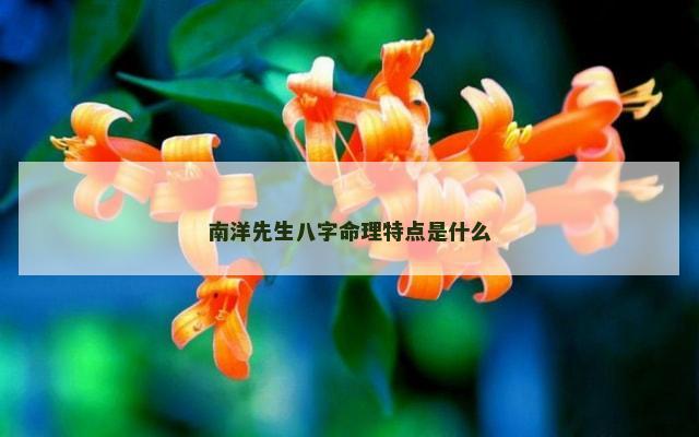 南洋先生八字命理特点是什么