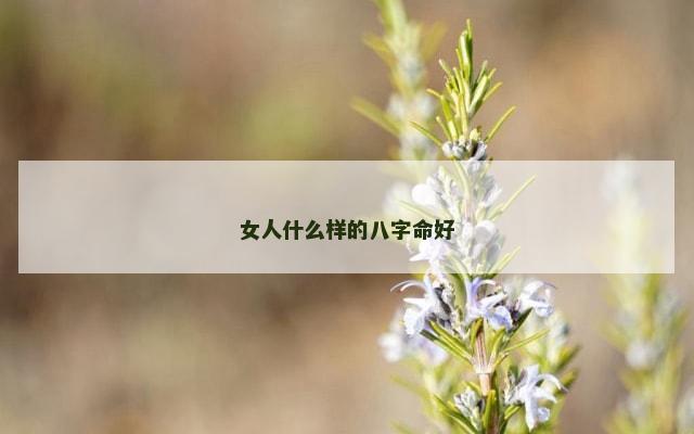 女人什么样的八字命好