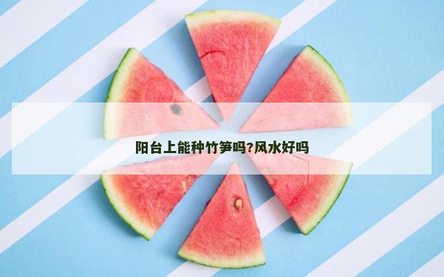 阳台上能种竹笋吗?风水好吗