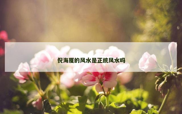 倪海厦的风水是正统风水吗
