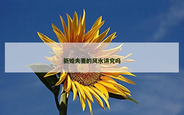 新婚夫妻的风水讲究吗