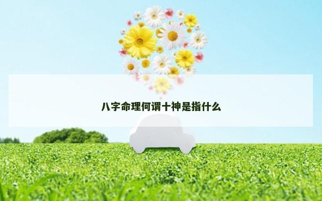八字命理何谓十神是指什么