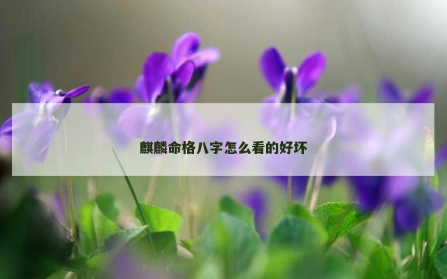 麒麟命格八字怎么看的好坏