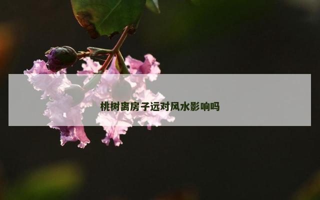 桃树离房子远对风水影响吗