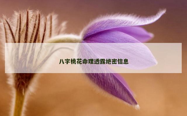八字桃花命理透露绝密信息