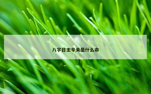 八字日主辛未是什么命