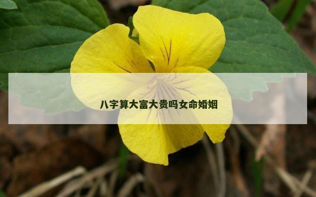 八字算大富大贵吗女命婚姻