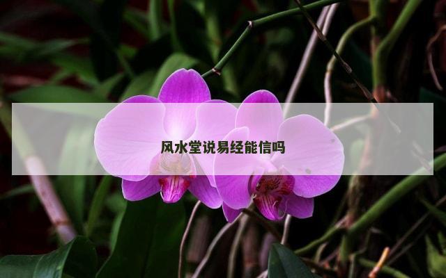 风水堂说易经能信吗