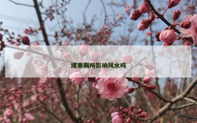 堵塞厕所影响风水吗