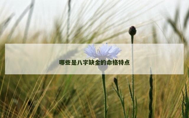 哪些是八字缺金的命格特点