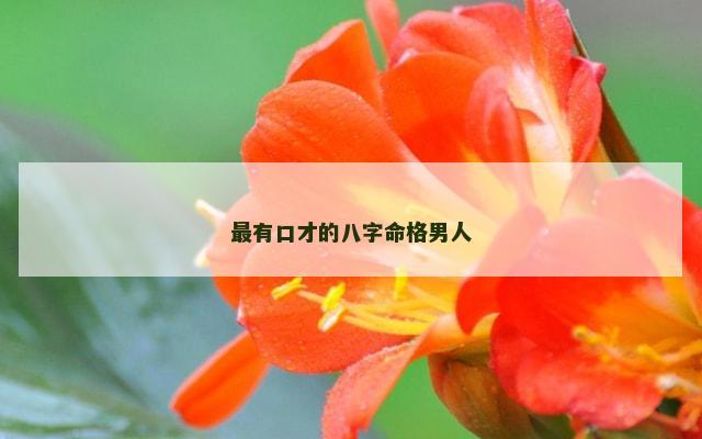 最有口才的八字命格男人