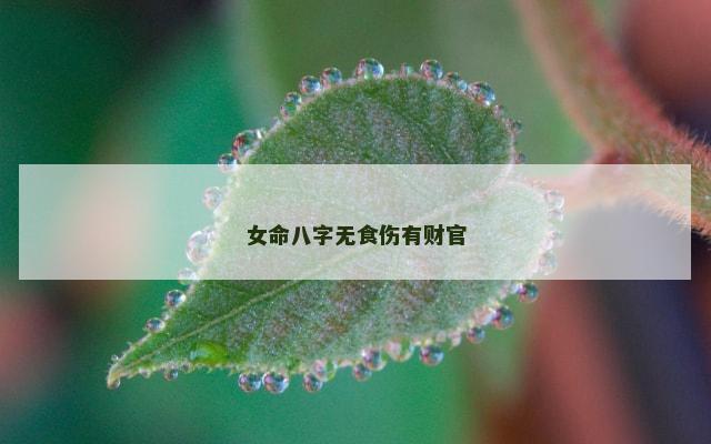 女命八字无食伤有财官