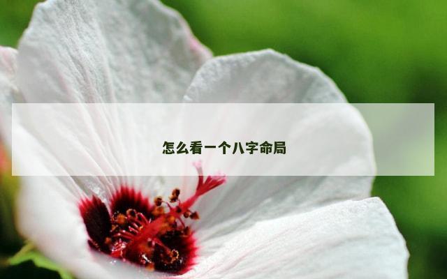 怎么看一个八字命局